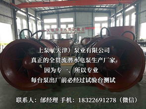 探索流體世界的隱秘力量 潛水貫流泵、全貫流閘門泵、燈泡泵與臥式全貫流泵技術解析